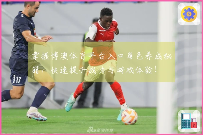 掌握博澳体育平台入口角色养成秘籍,快速提升战力与游戏体验!
