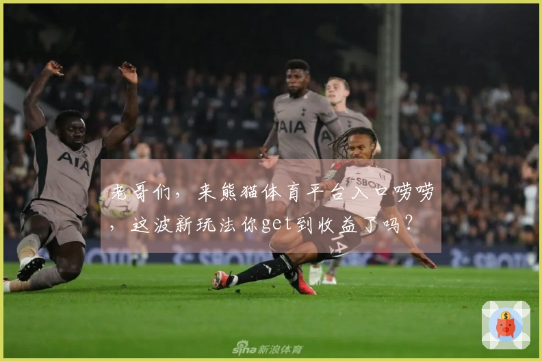 老哥们，来熊猫体育平台入口唠唠，这波新玩法你get到收益了吗？